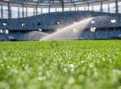 国足后防新,锐邵佳一表,现抢眼,宝威体育,宝威体育官网,宝威体育官方,宝威体育下载