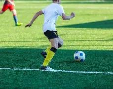 阿利森恢复,情况良好,队医详述检,宝威体育,宝威体育官网,宝威体育官方,宝威体育下载